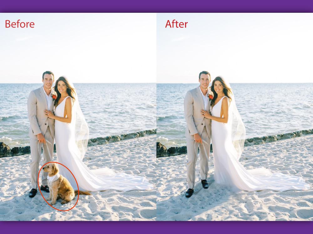 I will do any Unwanted object remove properly