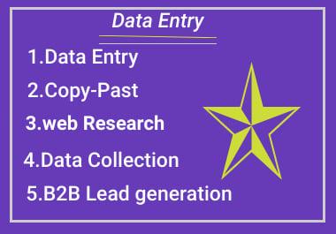 I Will Do Perfect Data Entry,copy past And First typing work 1 Page