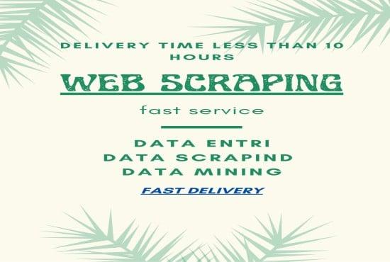 I will do web scrapping, data mining and data entry