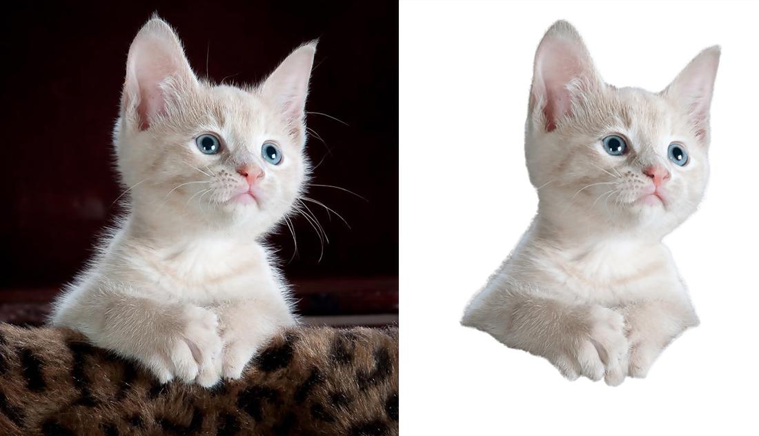 I will do removal background and clipping path service within 24 hours