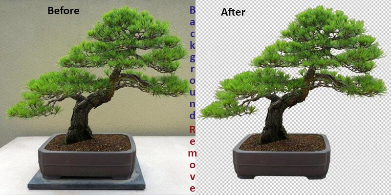 I will cut out or background remove from any image by using photoshop software in less than 12 hours