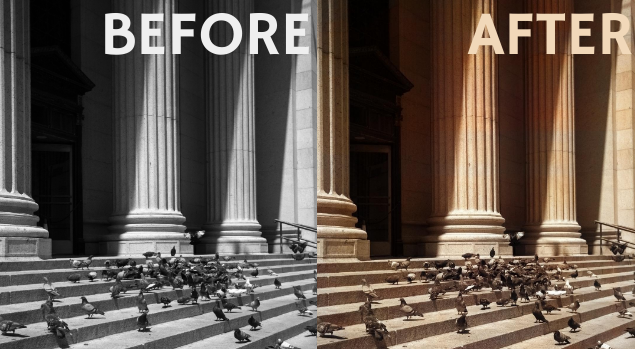 I will turn Your plain black & white pictures into colourful glorying pictures 