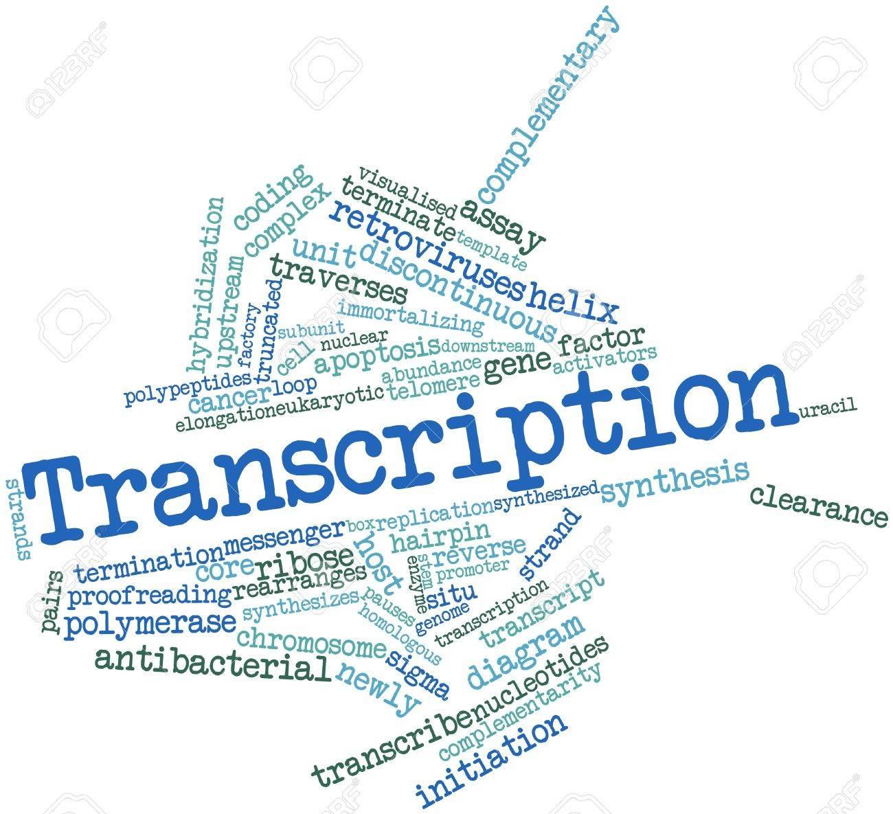 high quality video and audio transcription