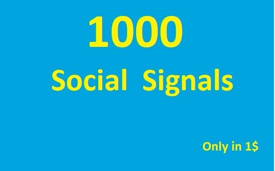 1000 SEO Social Media Traffic Signals Share