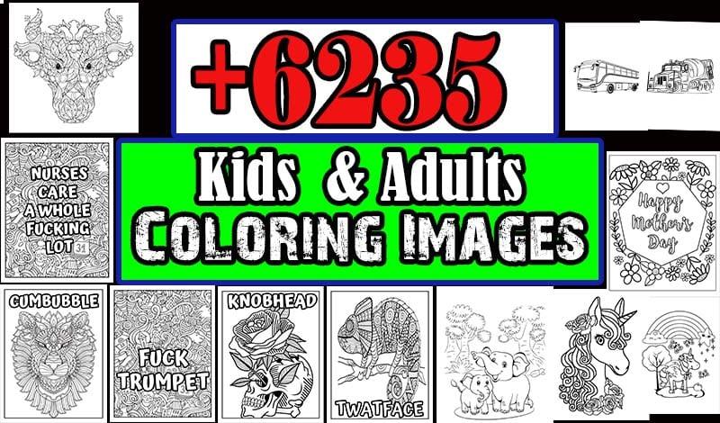 I will provide 6235 kids and adults coloring images jpeg png format sell on KDP