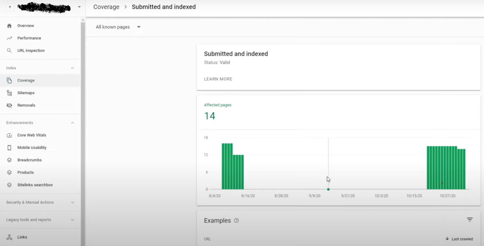 I will do google index and search console service for SEO to make you happy