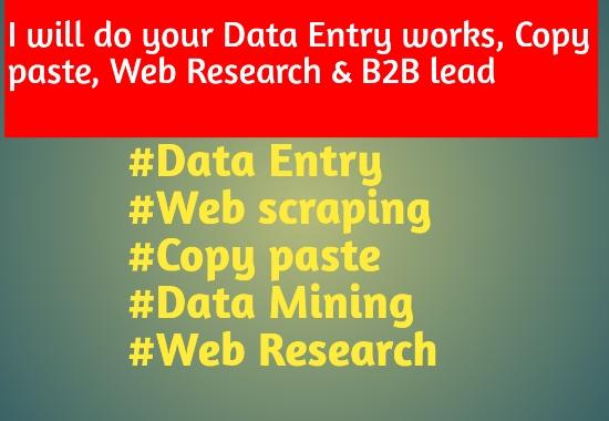I will do Data entry,web research,copy paste,Data mining and web scraping 