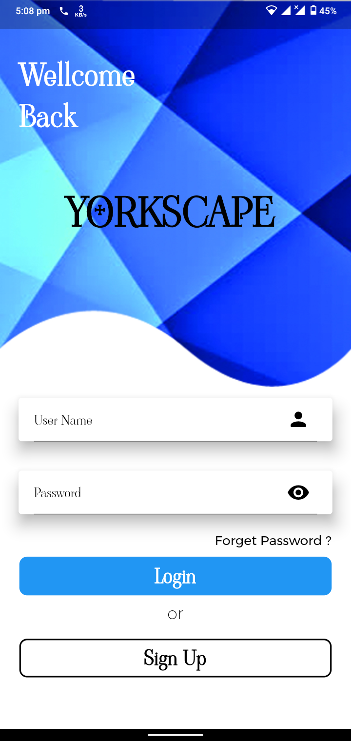 I Will do flutter ui ux design for android and ios 