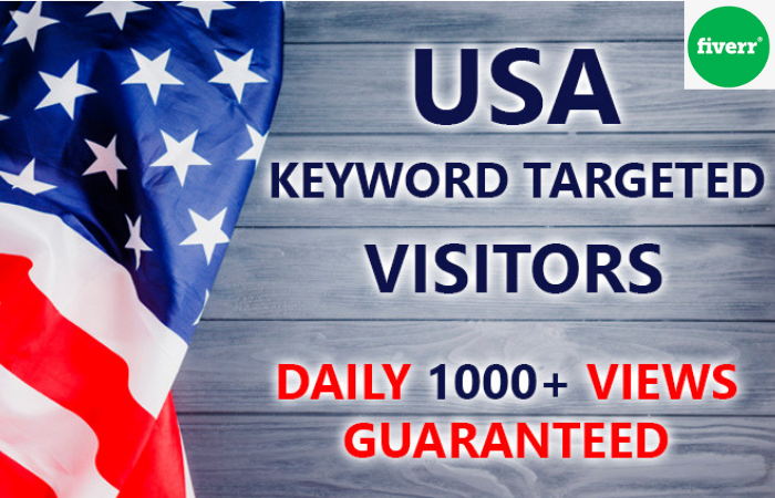 I Will Send Real Targeted Web Traffic Audience