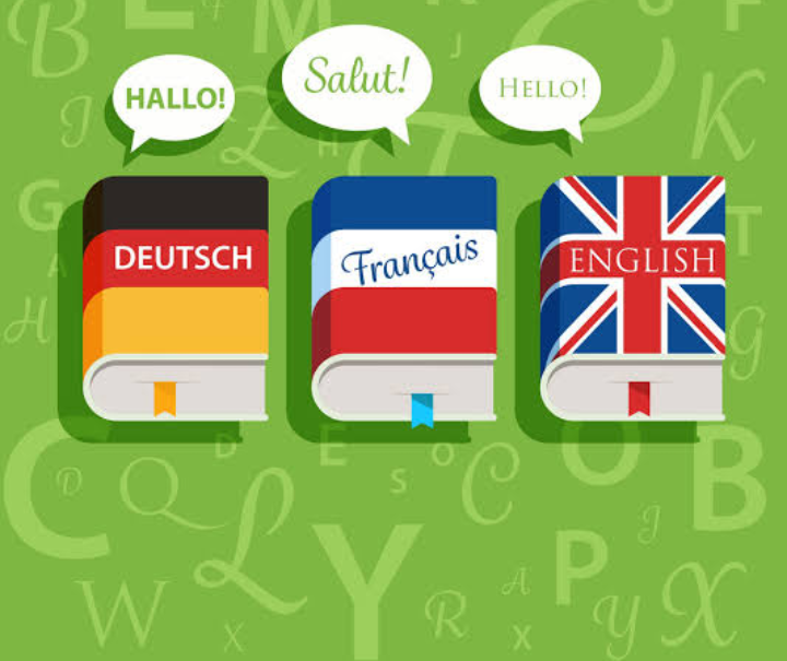 Professional translator of German/French/English