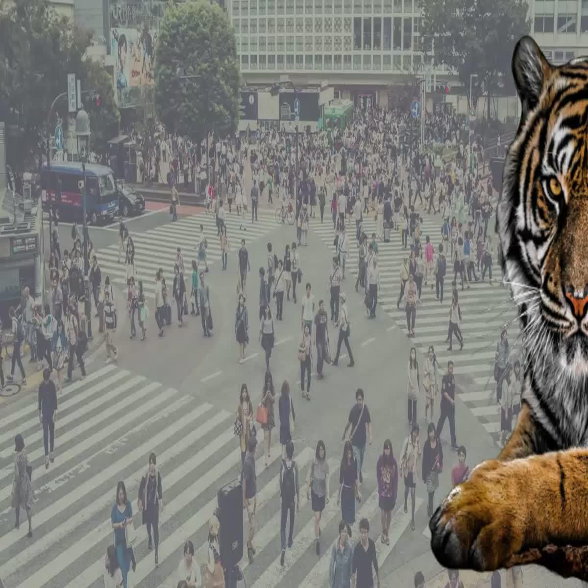 I will Create professional unique Ads designer