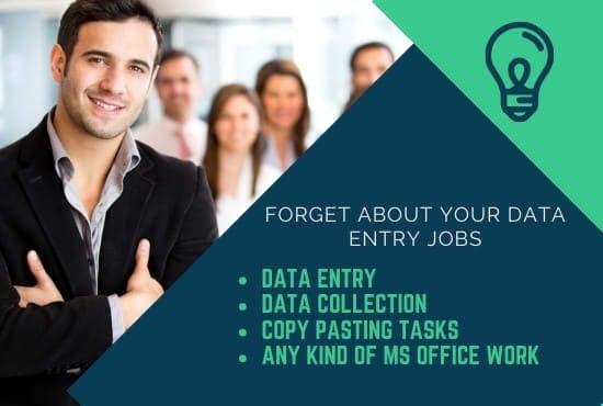 i will assist you to do any type of data entry jobs within few hours