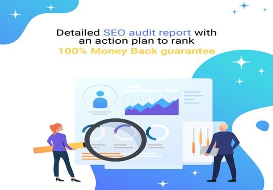 I will generate a SEO report for your website