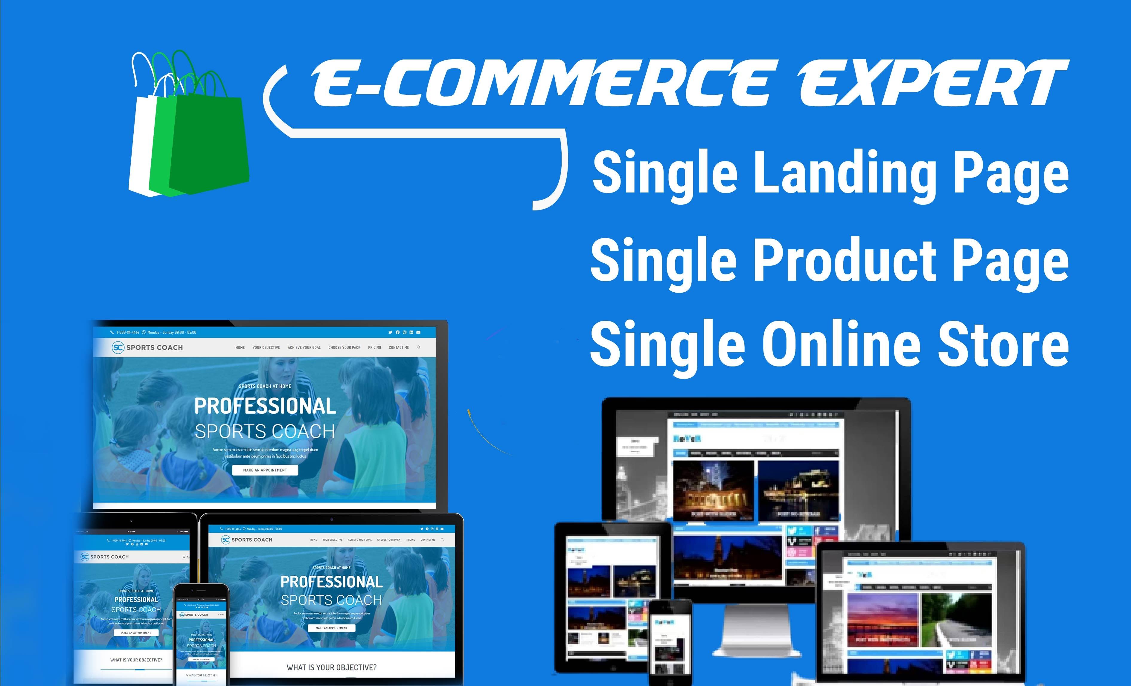 I will Build and develop Wordpress website, squeeze page or landing page, ecommerce store, blog site