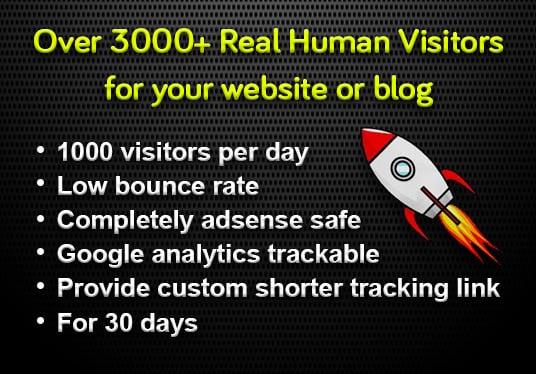 I provide 30000+ real human traffic for 30 days