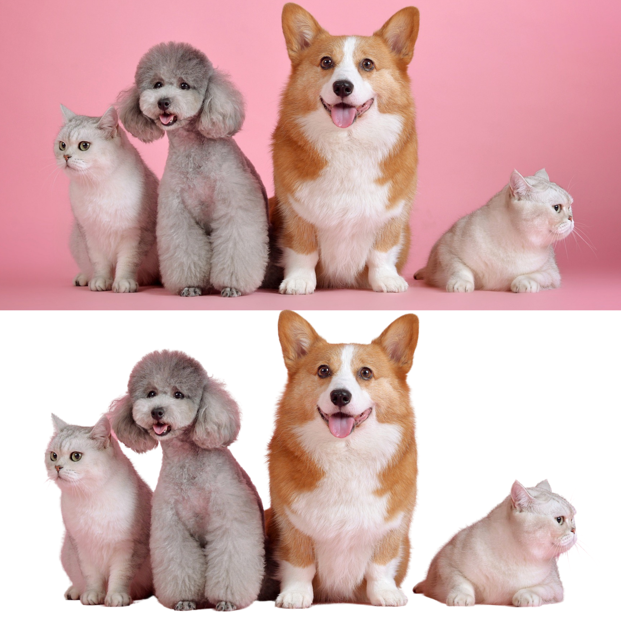 Background removing of photos super fast