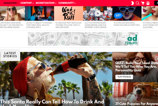 I will do premium wordpress theme installation in 3hrs, setup demo, and customize