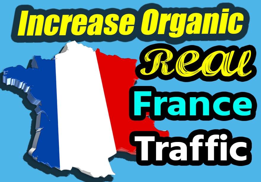 Organic France 1000 real traffic for your website