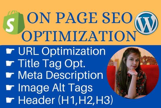 do on page SEO optimization for wordpress and shopify store 