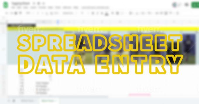 I will do excel data entry, copy paste, excel chart, shopify product virtual assistant