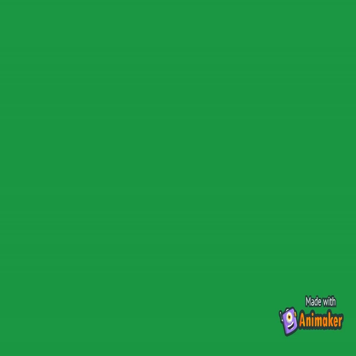  Are you looking for unique videos? Here I am to help you.