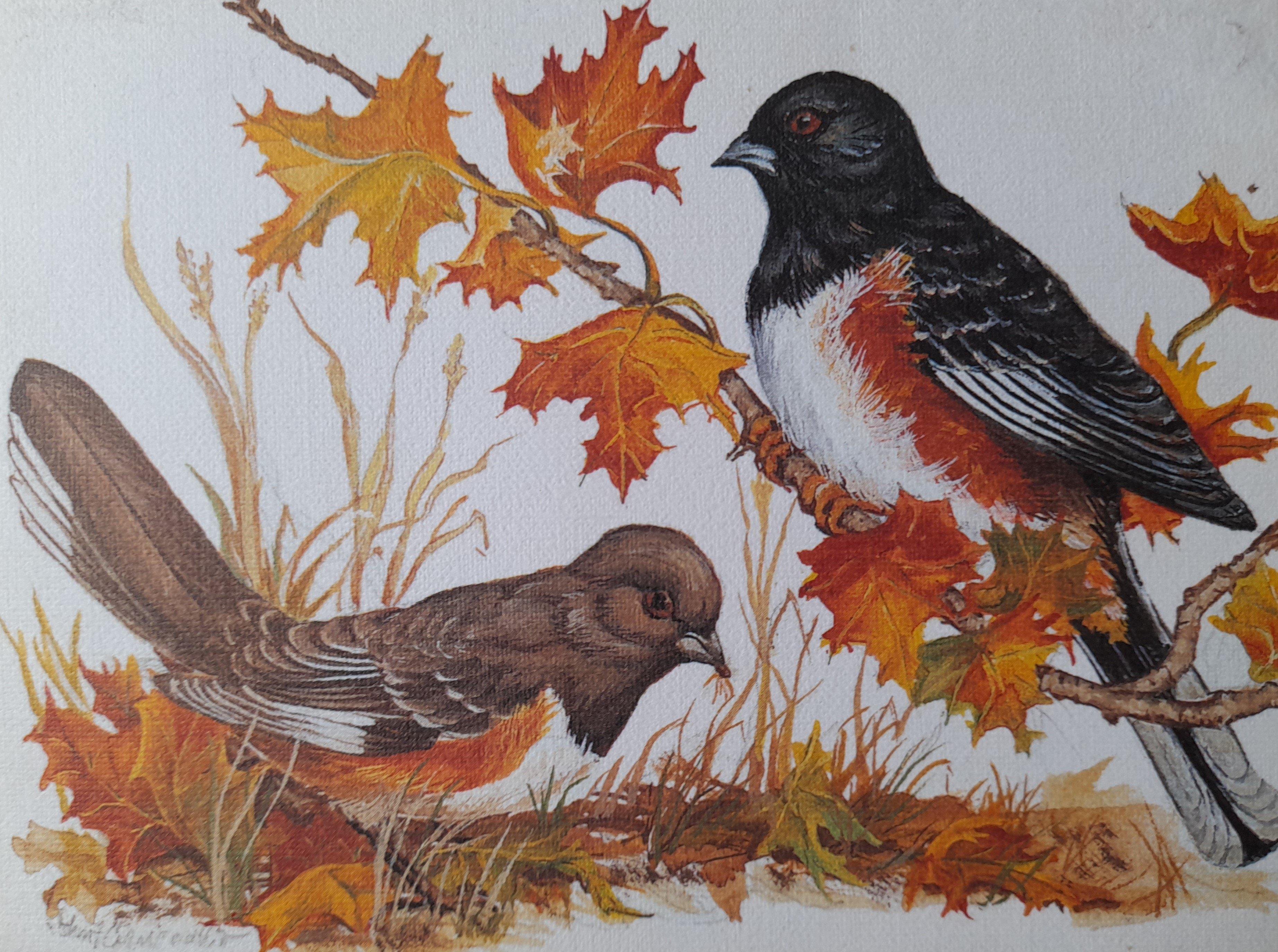 I will design custom greeting cards with watercolor paintings