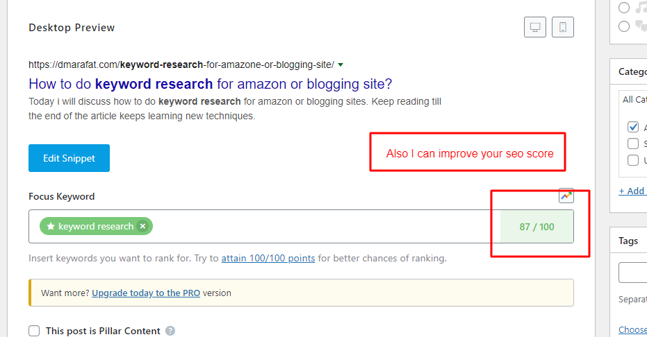 I will do Complete on page SEO and technical SEO for your WordPress site
