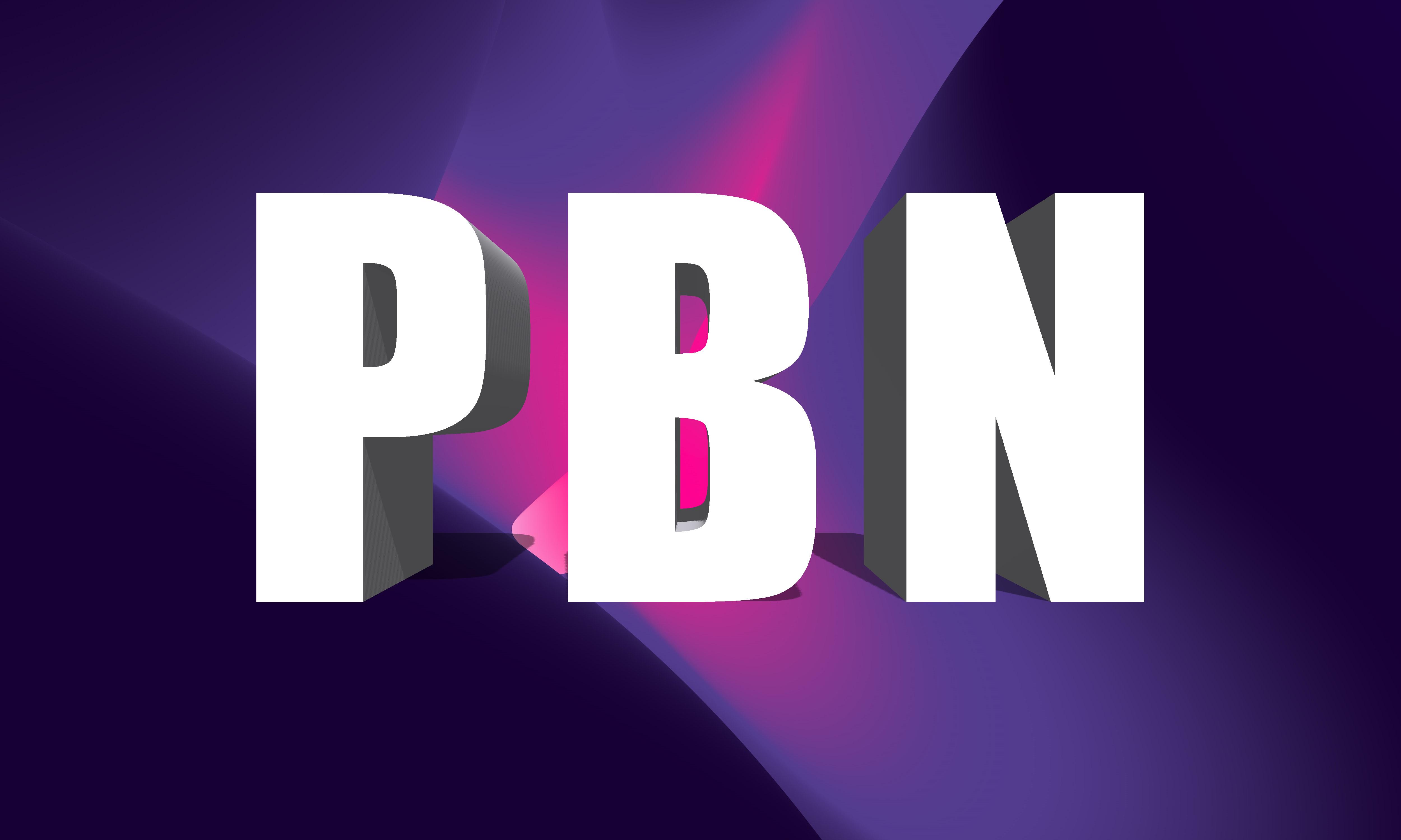 10 High quality DR 60+ do-follow permanent homepage PBN back-links