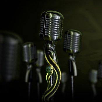 I do fast "Voiceovers" within 30 minutes or less.