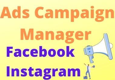 I will do your expert social media ads campaign manager 