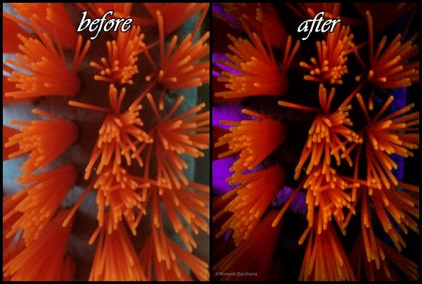 I will do photo editing and photo retouching in 2 hours