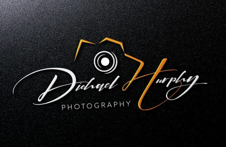 I will design eye catchy signature logo design & handwritten