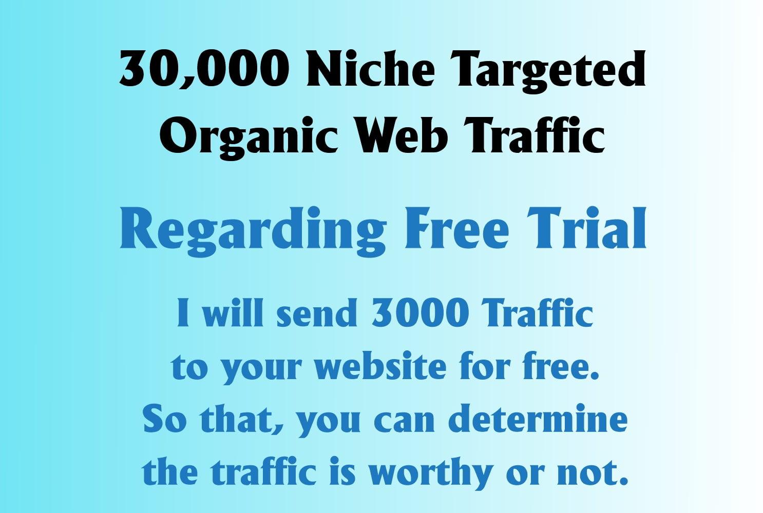 Daily 30,000 keyword targeted web traffic for 30 days