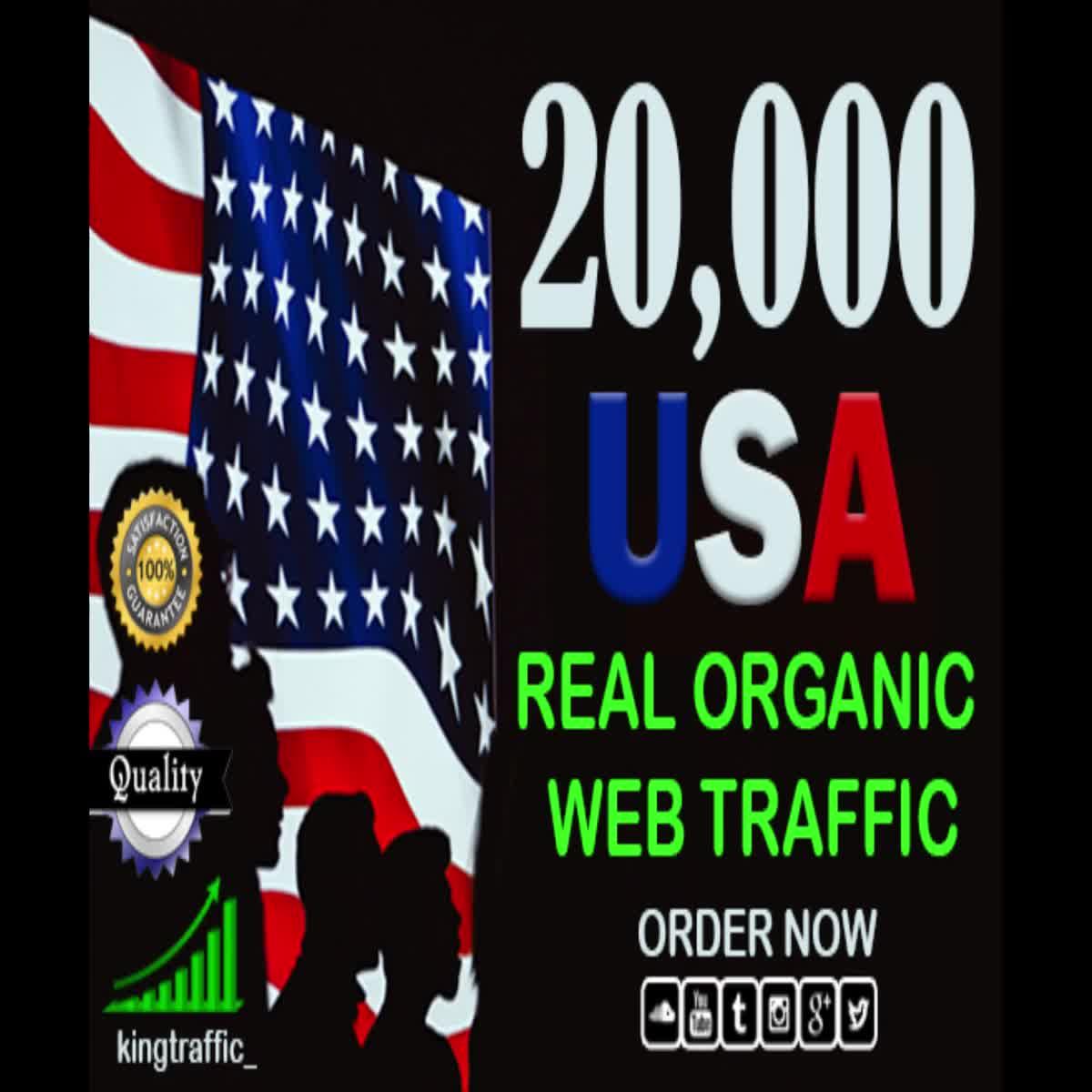 20,000 Real Organic USA Website Traffic Within 4 Days