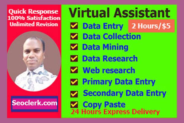 I will do virtual assistant, data entry, copy paste and other job