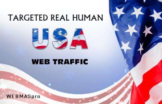 Real 1,000 USA Human Traffic in search Google analytics Rank On google 1st page 