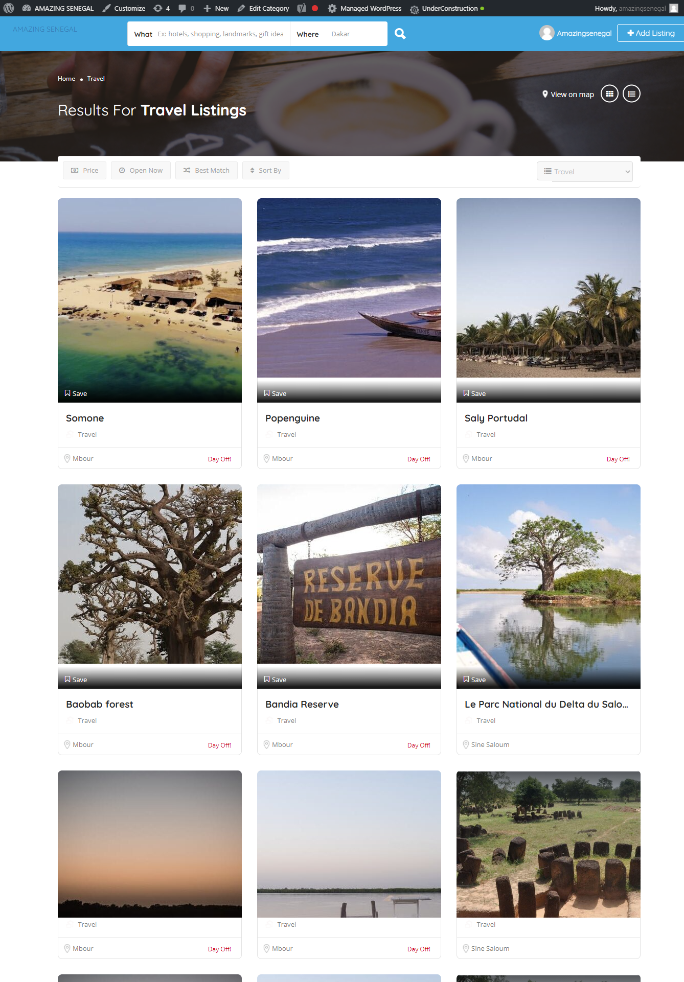 I will create wordpress website or landing page using elementor pro, divi, astra pro, avada