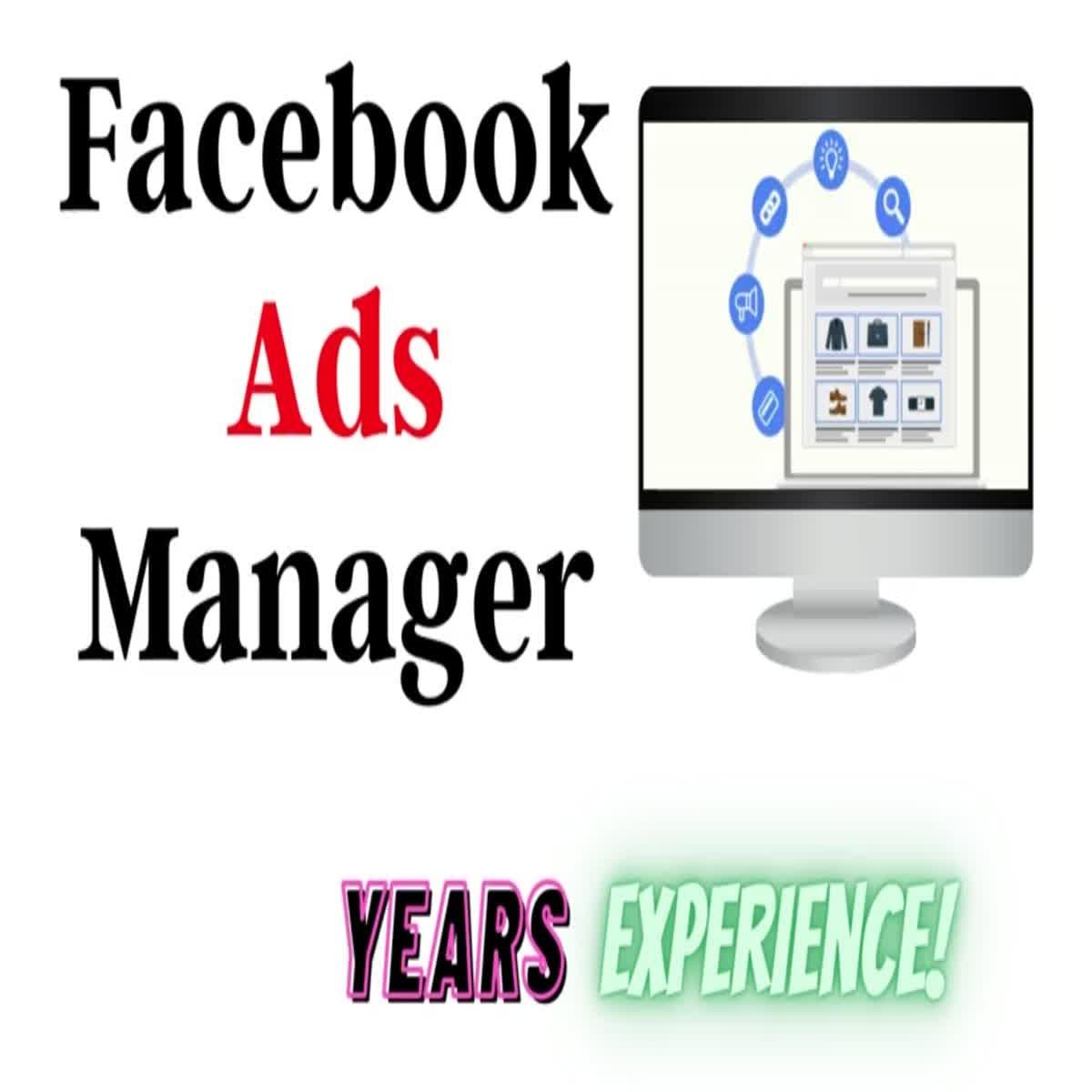 I will do your facebook advertising as a facebook ads campaign manager to promote business
