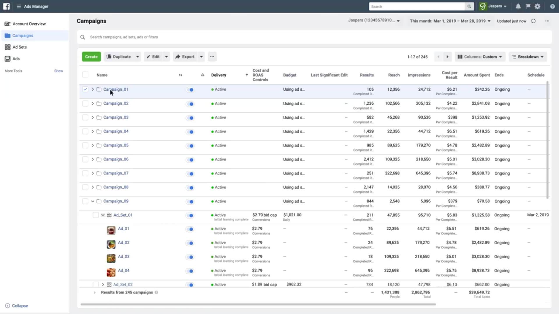 I will setup Facebook ads campaign with your targeted audience