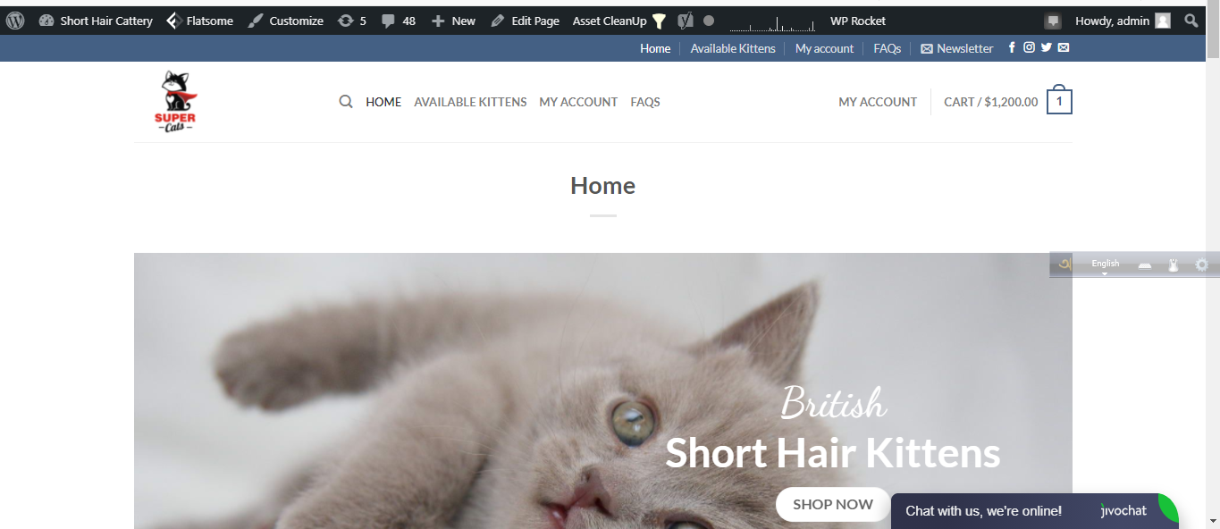 I will provide SEO audit and action plan with your competitor analysis