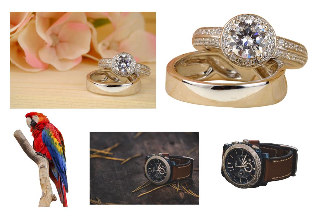 Professional Photo Editing by Photoshop