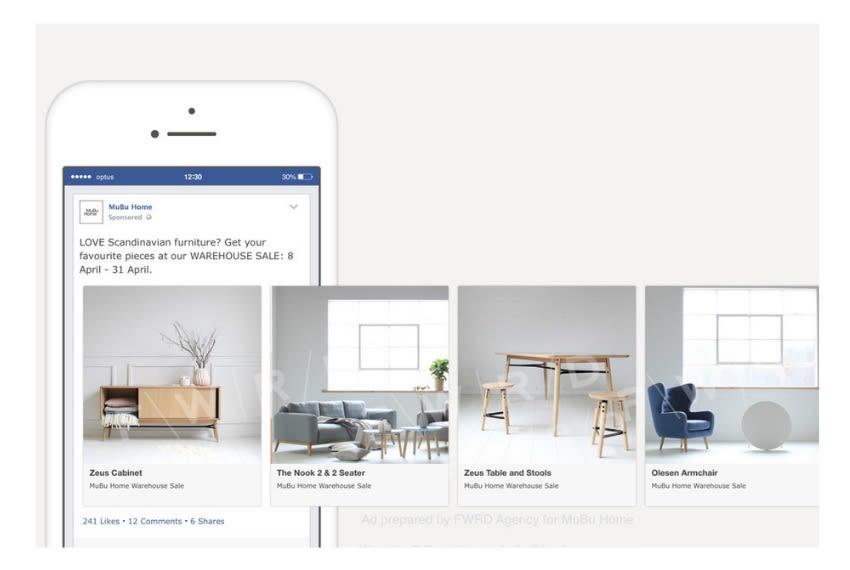 I will be your expert Facebook ads campaign manager