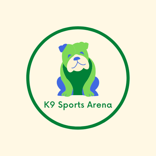 I will design anything in canva for you