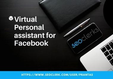 I will be your virtual personal assistant for Facebook, Instagram Twitter.