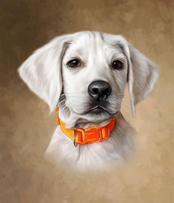 I will draw digital portrait art in oil painting from photo