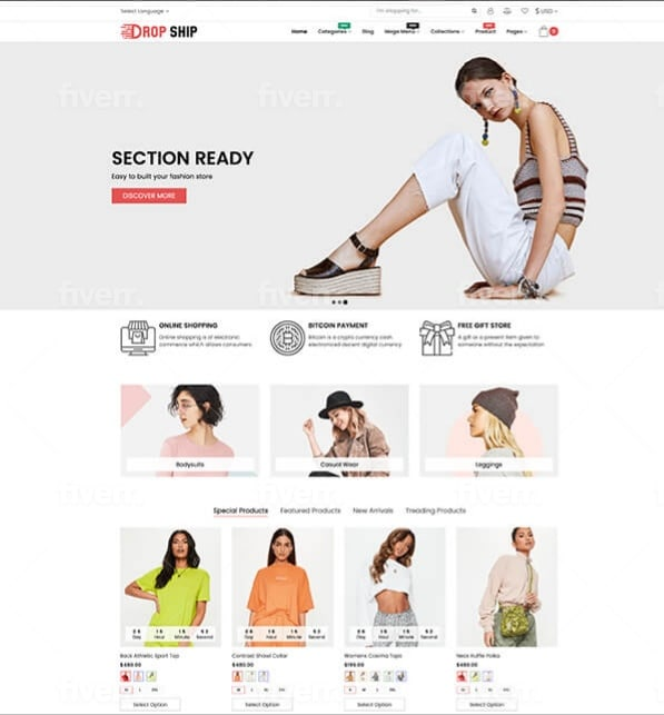 I will create professional ecommerce website with wordpress woocommerce