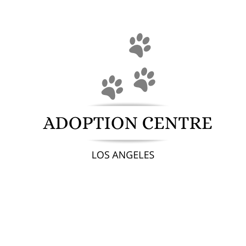 2 examples of a logo design in 24hours.