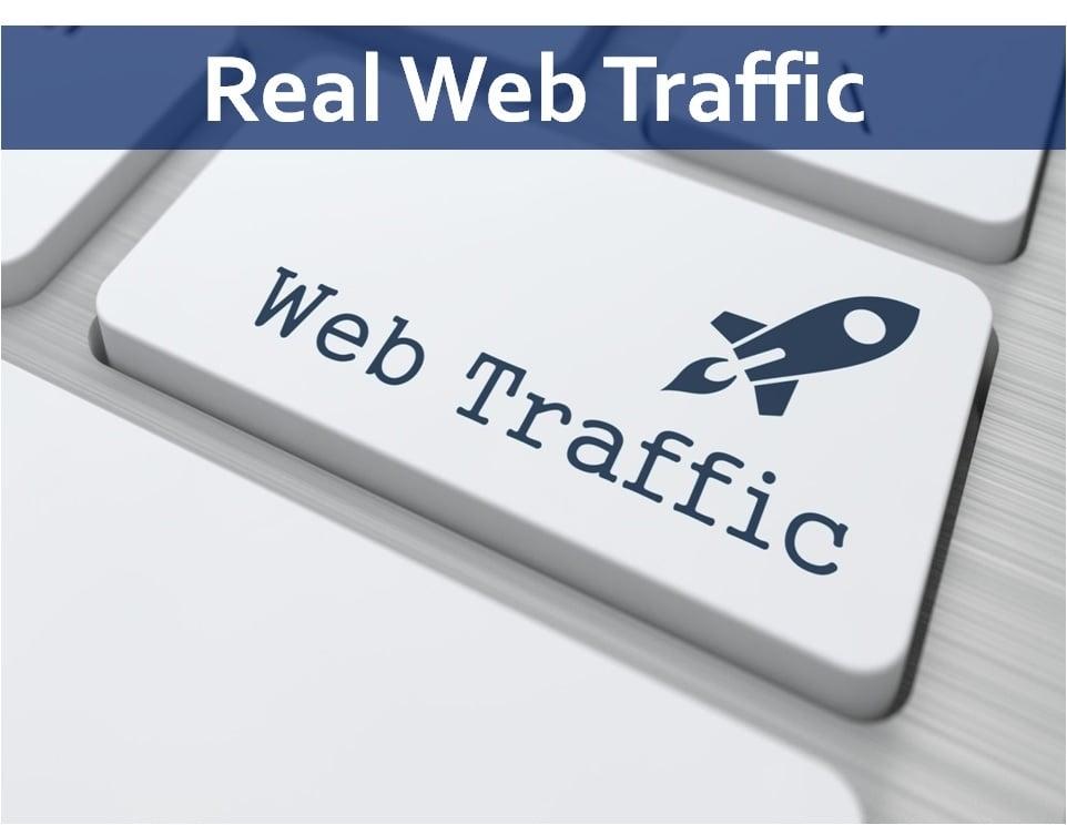 I will bring real visitors, social direct referral organic traffic