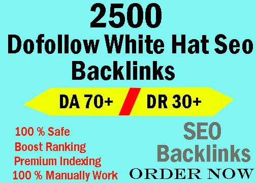 I will 2500 high quality white hat contextual seo dofollow backlinks