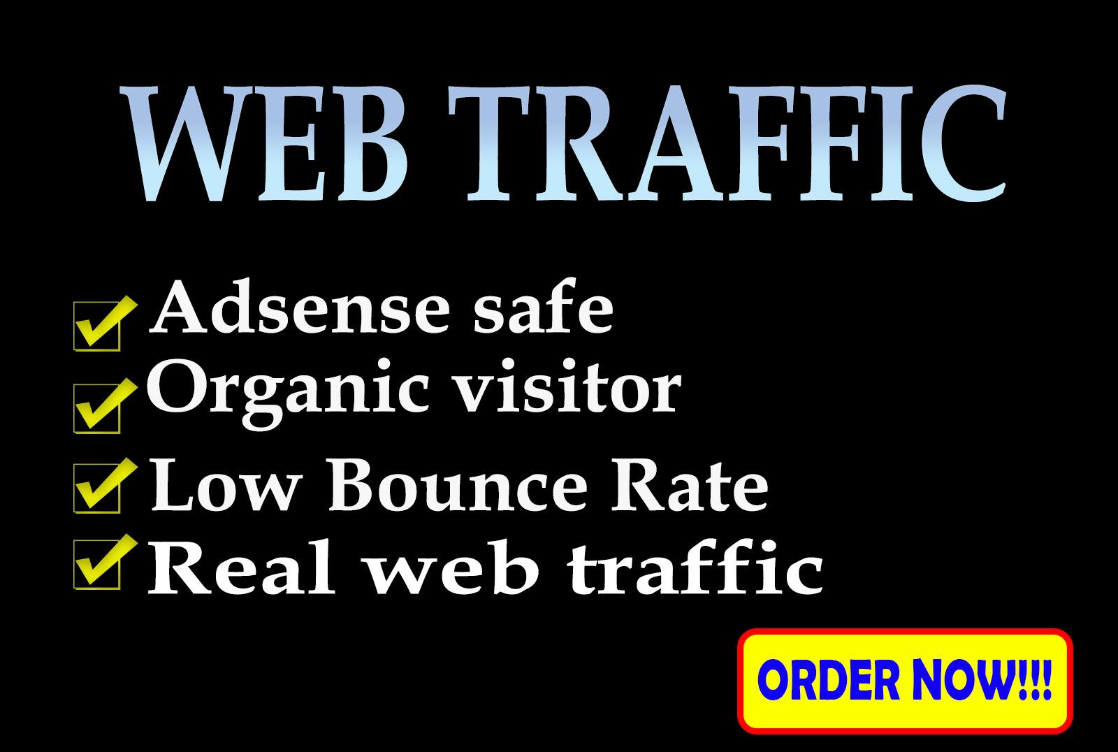 I will bring real organic web traffic